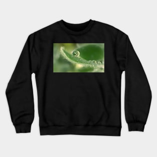 April Showers Crewneck Sweatshirt